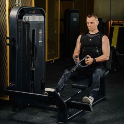 E7033 Гребная тяга. Горизонтальный блок. Стек 110 кг