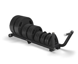 Стойка горизонтальная для весовых дисков Matrix Fitness MG-A301