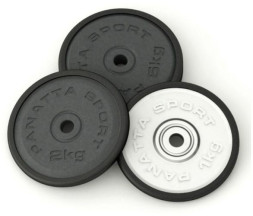 Диск Panatta 1DN1 1 кг