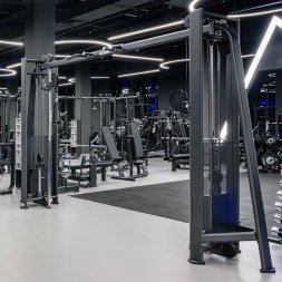 E7016 Кроссовер с изменением высоты. Стек 2x110 кг