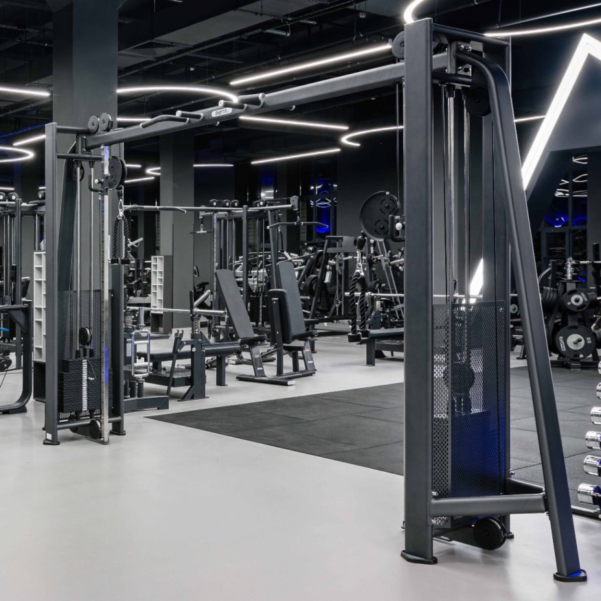 E7016 Кроссовер с изменением высоты. Стек 2x110 кг