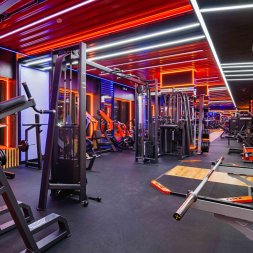 E7016 Кроссовер с изменением высоты. Стек 2x110 кг