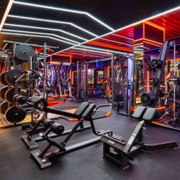 E7016 Кроссовер с изменением высоты. Стек 2x110 кг