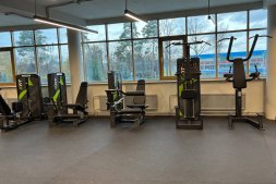 Сгибание ног сидя Spirit SP-4306