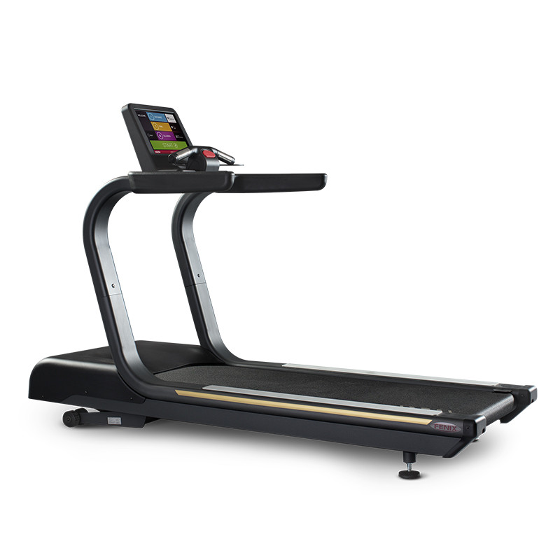 Беговая дорожка Panatta Runner Fenix Touch
