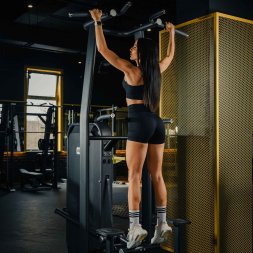 E7009 Турник, брусья с противовесом. Стек 135 кг