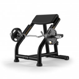  Matrix Fitness Скамья Скотта (положение сидя) Magnum