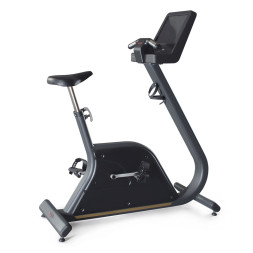 Вертикальный велотренажер Panatta Bike Fenix Touch