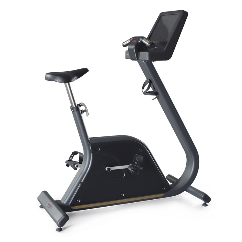 Вертикальный велотренажер Panatta Bike Fenix Touch