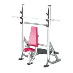 Олимпийская скамья для жима сидя Panatta Fit Evo 1FE207