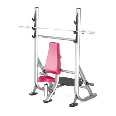 Олимпийская скамья для жима сидя Panatta Fit Evo 1FE207