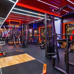 A3049 Брусья-пресс-турник