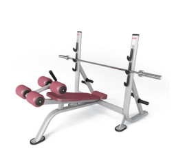 Олимпийская скамья с отрицательным наклоном Panatta Fit Evo 1FE206