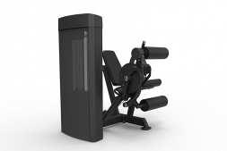 Сгибание/разгибание ног сидя Spirit SP-4605