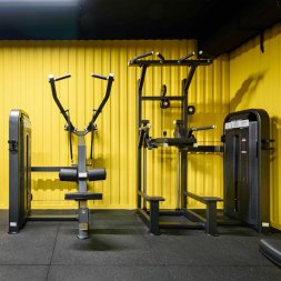 U3035D (E5035)Тяга сверху. Вертикальный блок. Стек 109 кг