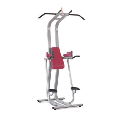 Пресс / Брусья / Турник Panatta Fit Evo 1FE211