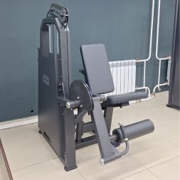A2002 Разгибание ног сидя. Стек 100 кг
