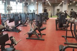 Гребная тяга с упором в грудь Spirit SP-4502