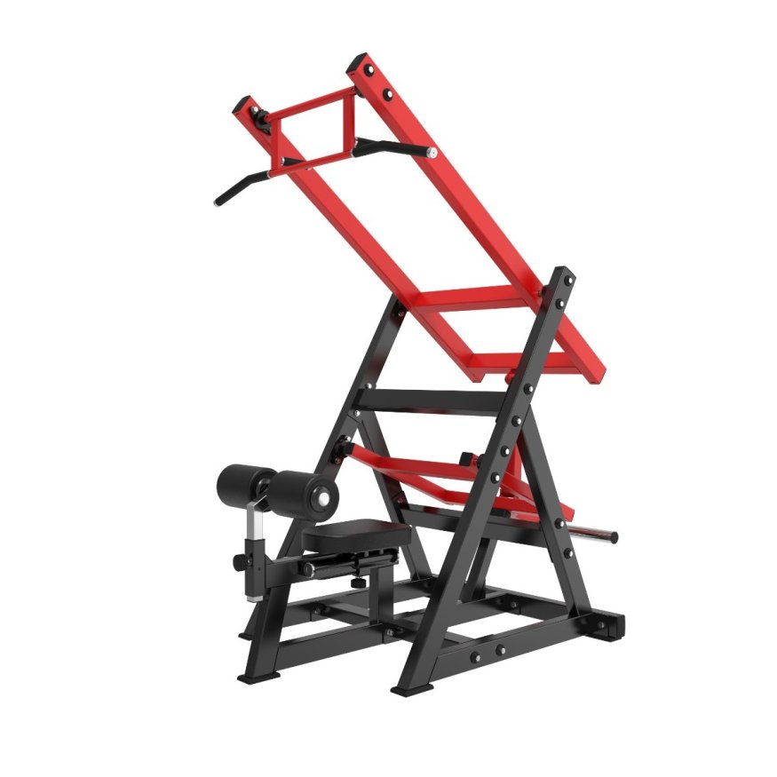 Тяга верхнего блока на свободных весах Protrain PP213  (PP1113)