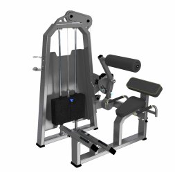 A2031 Разгибание спины. Стек 100 кг