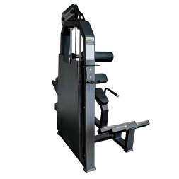 A2031 Разгибание спины. Стек 100 кг