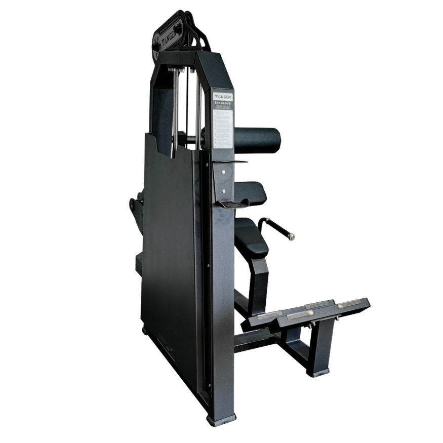 A2031 Разгибание спины. Стек 100 кг