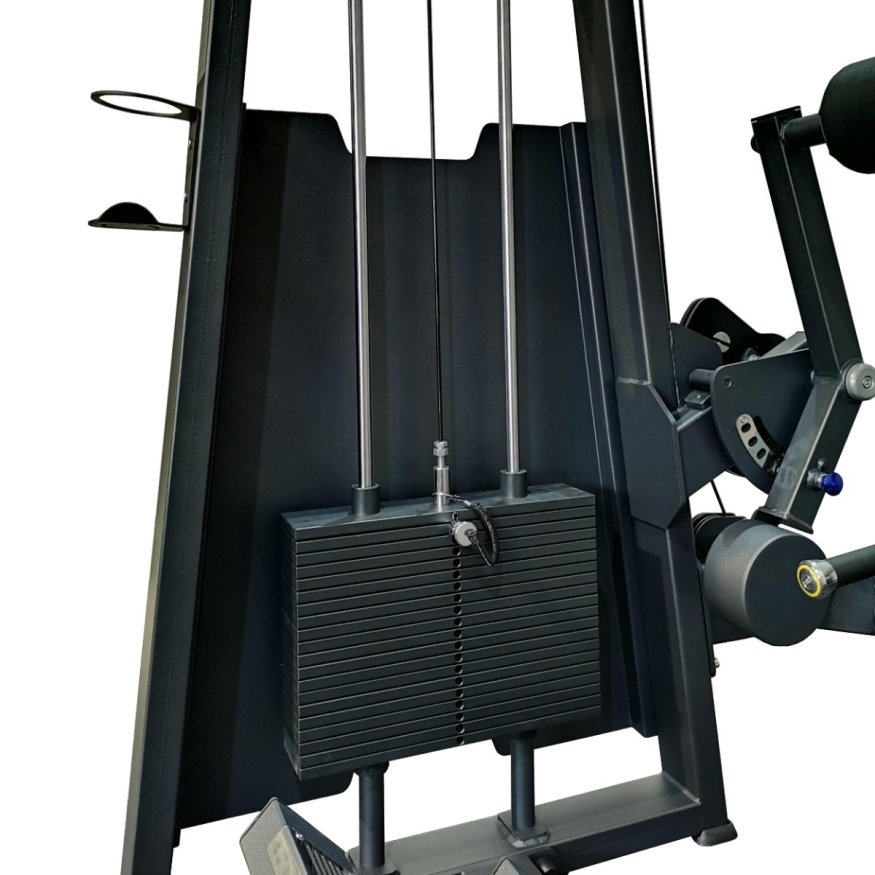 A2031 Разгибание спины. Стек 100 кг