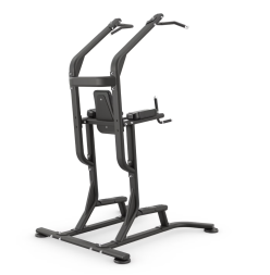 Стойка комбинированная Турник/Брусья/Подъем коленей Vision VST600-FW63