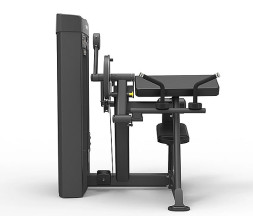 Бицепс / трицепс сидя Spirit Fitness SP-4607