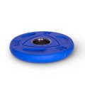 Диск обрезиненный олимпийский Protrain COP-2,5 (д=50 мм)