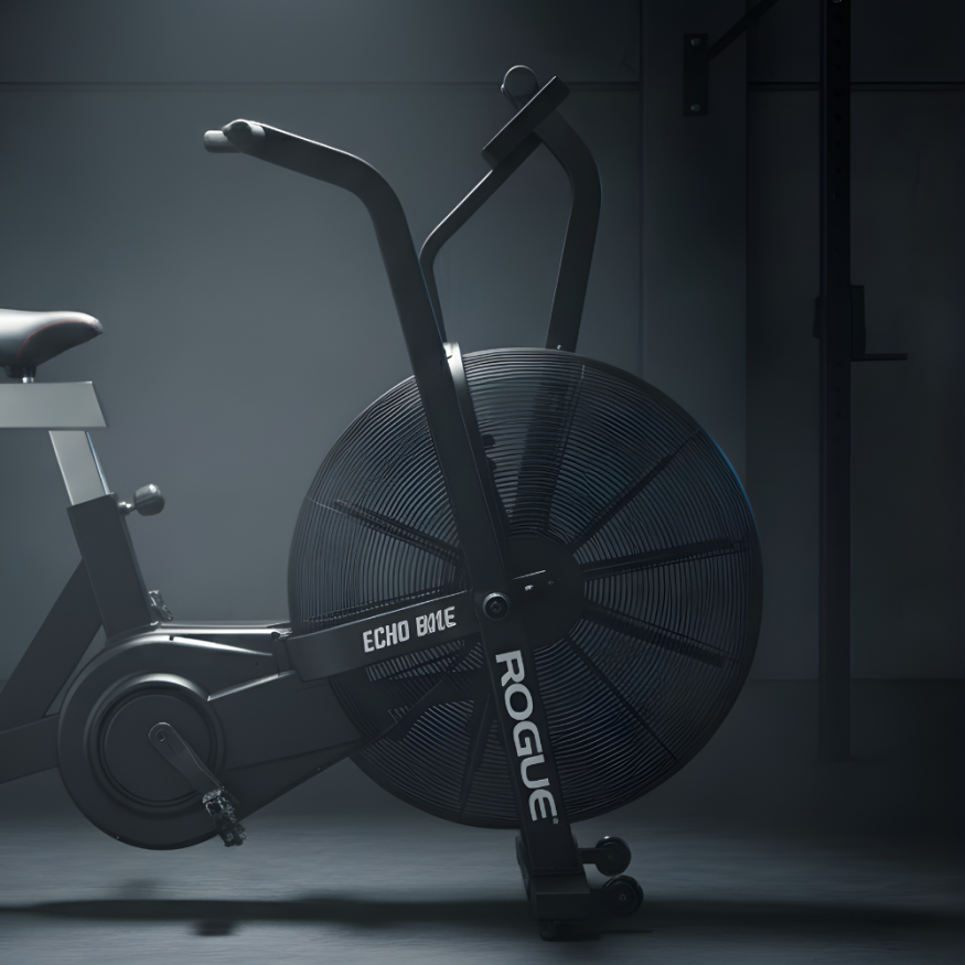 Велотренажер аэробайк Rogue Echo Bike V3 