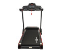 Беговая дорожка CardioPower T55