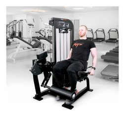 Разгибание ног сидя Protrain CP113