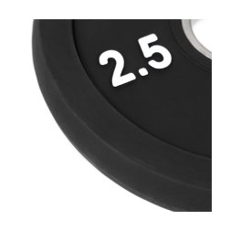 Диск полиуретановый Protrain PPU-2,5 (д=51 мм)