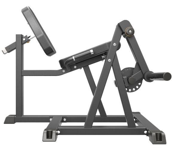 Разгибание ног сидя Impulse IFP1605