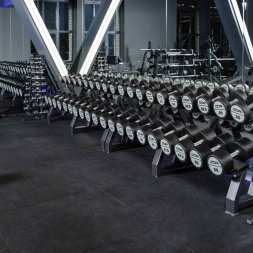 Гантельный ряд полиуретановый LEVEL (шаг 2,5 кг, 10 пар) PROFI-FIT 2,5-25 кг