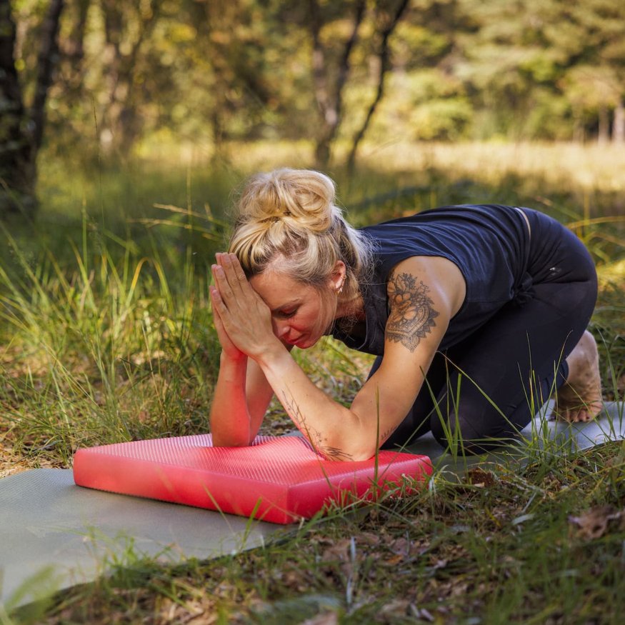 Балансировочная подушка AIREX Balance Pad Cloud красный