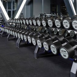 Гантельный ряд полиуретановый LEVEL (шаг 2,5 кг, 5 пар) PROFI-FIT 27,5-37,5 кг