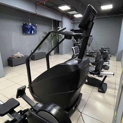 Тренажер-лестница TANGEN D8900