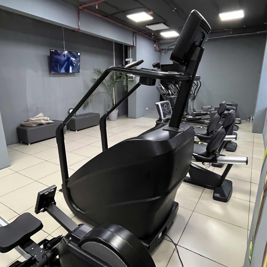 Тренажер-лестница TANGEN D8900