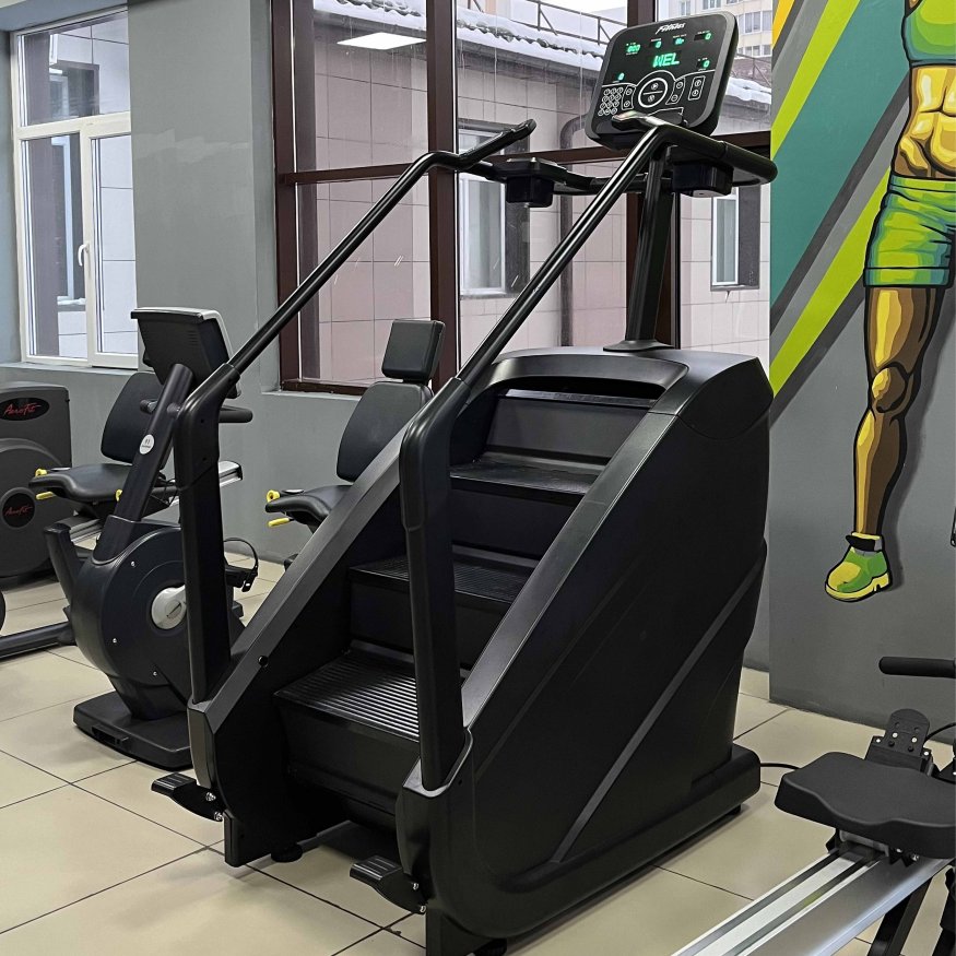 Тренажер-лестница TANGEN D8900