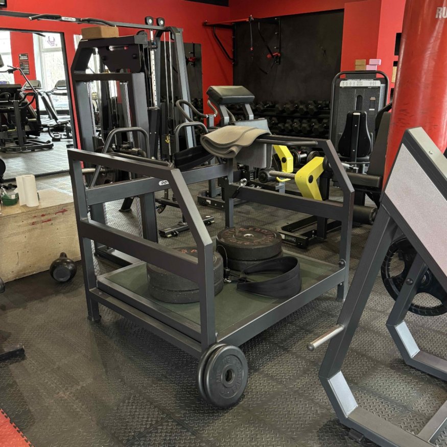 A3067 Приседания с поясом