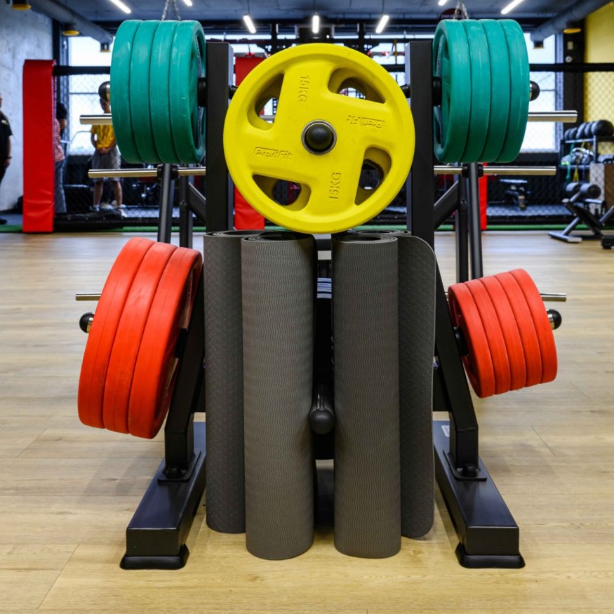 Диск обрезиненный FASSION цветной D51 мм PROFI-FIT 10 кг