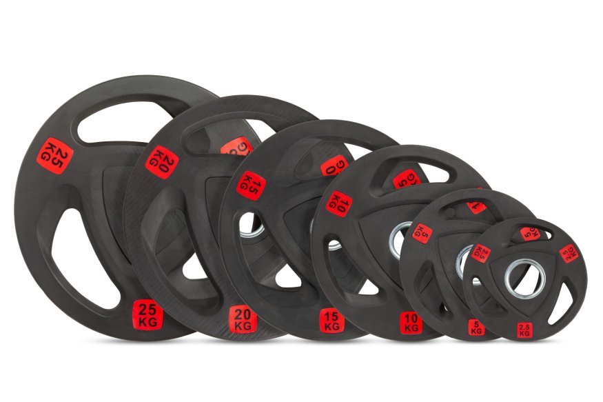 Диск 51 мм. обрезиненный с 3-мя хватами 2,5 кг