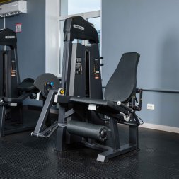 U3002C (E3002) Разгибание ног сидя. Стек 109 кг