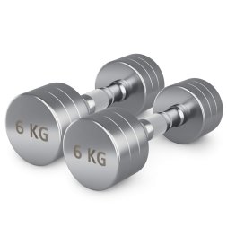 Гантель UNIX Fit PRO круглая хромированная 6 кг, 2 шт.