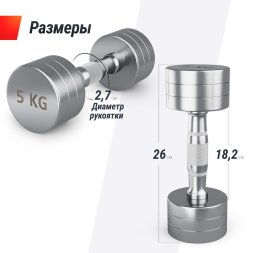 Гантель UNIX Fit PRO круглая хромированная 5 кг, 2 шт.