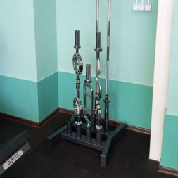 A3010 Вертикальный держатель для олимпийских грифов (на 8 шт) TANGEN