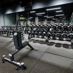 U2038 Стул для жима сидя