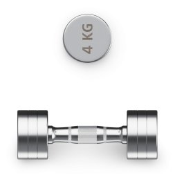 Гантель UNIX Fit PRO круглая хромированная 4 кг, 2 шт.